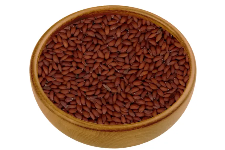 Asaliya Seeds