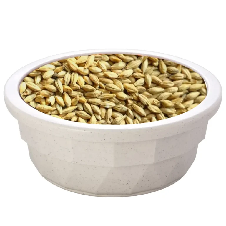 Barley-Feed