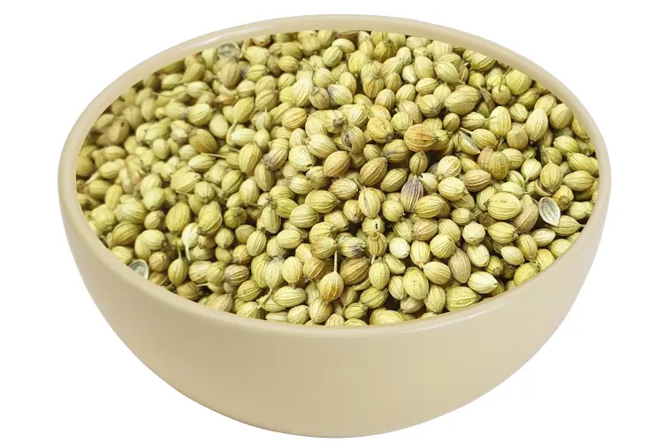 Coriander Seeds