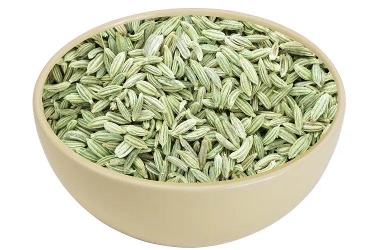 Fennel Seeds
