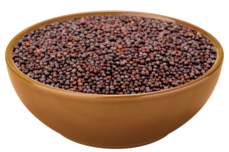 Mustard-seeds