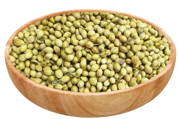 Organic-Coriander