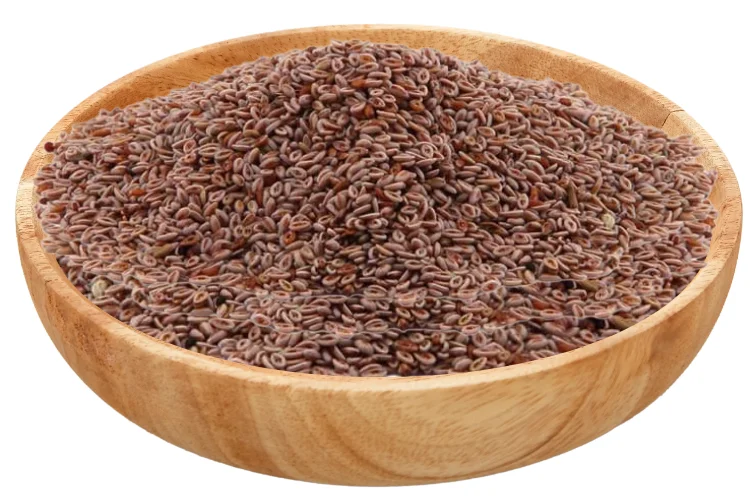 Psyllium