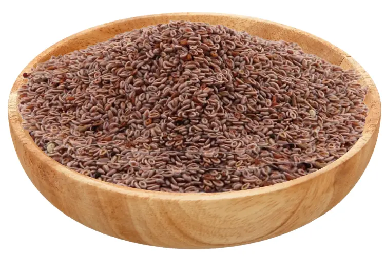 Psyllium
