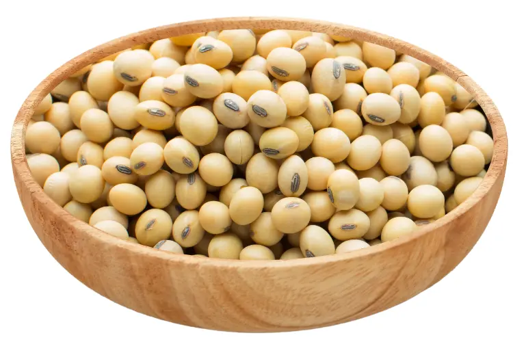 Soyabeans